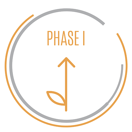 Phase I