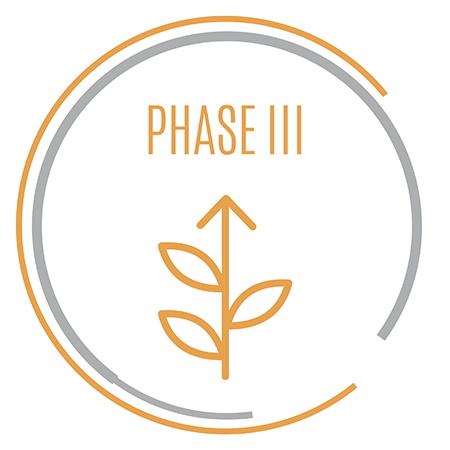 Phase III