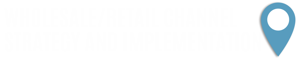 Wholesale / Retail Channel Strategy and Implementation